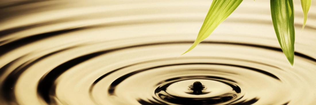 Couples Therapy in Denver | Therapist