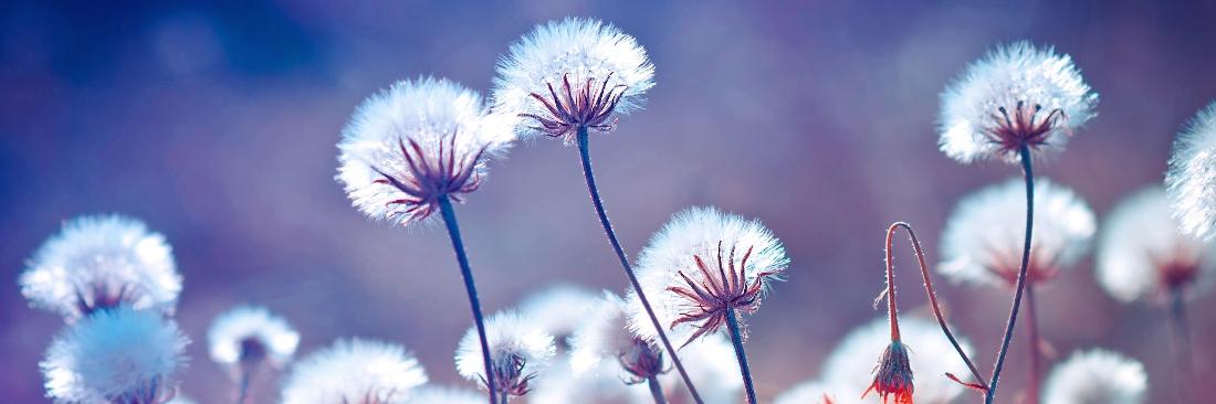 Personal Growth | Therapist